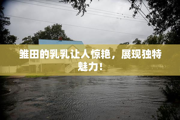 雏田的乳乳让人惊艳，展现独特魅力！