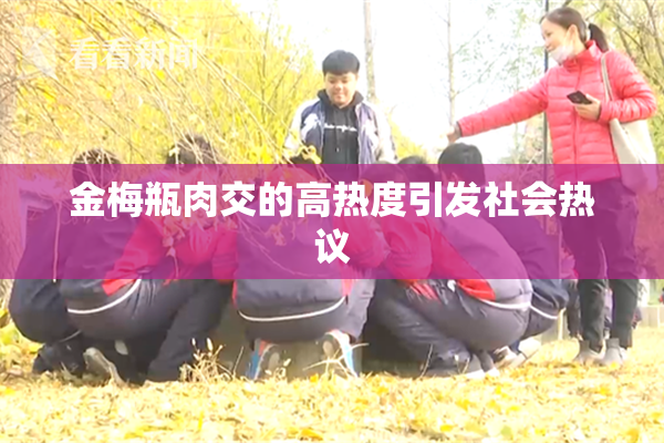 金梅瓶肉交的高热度引发社会热议