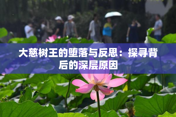 大慈树王的堕落与反思：探寻背后的深层原因