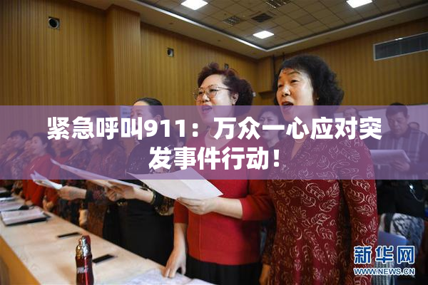 紧急呼叫911：万众一心应对突发事件行动！