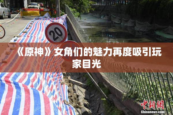 《原神》女角们的魅力再度吸引玩家目光