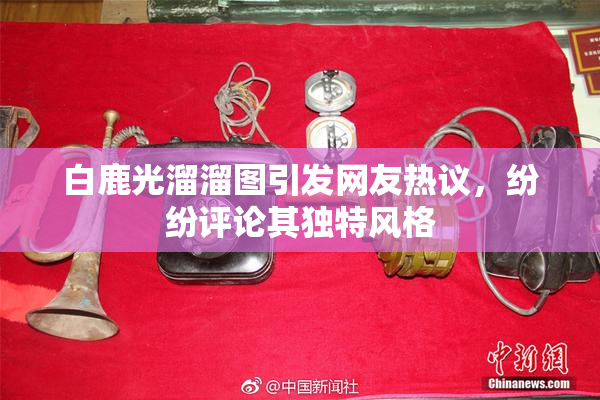 白鹿光溜溜图引发网友热议，纷纷评论其独特风格