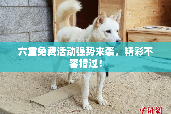 六重免费活动强势来袭，精彩不容错过！