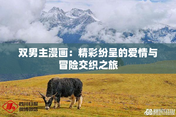 双男主漫画：精彩纷呈的爱情与冒险交织之旅