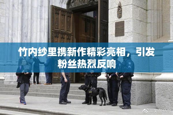 竹内纱里携新作精彩亮相，引发粉丝热烈反响