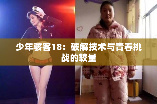 少年骇客18：破解技术与青春挑战的较量