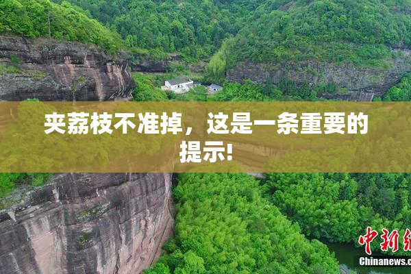 夹荔枝不准掉，这是一条重要的提示!