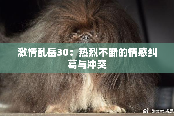 激情乱岳30：热烈不断的情感纠葛与冲突