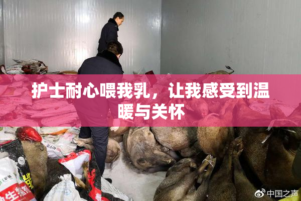 护士耐心喂我乳，让我感受到温暖与关怀