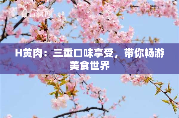 H黄肉：三重口味享受，带你畅游美食世界