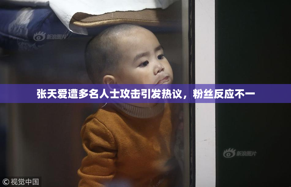 张天爱遭多名人士攻击引发热议，粉丝反应不一