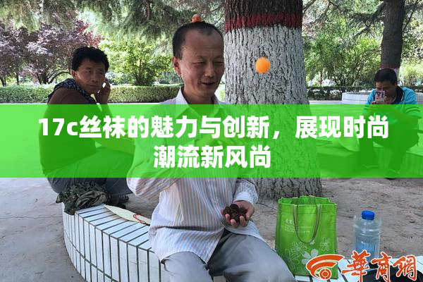 17c丝袜的魅力与创新，展现时尚潮流新风尚