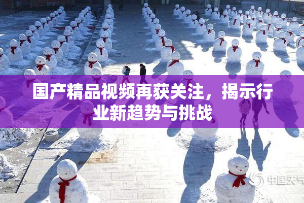 国产精品视频再获关注，揭示行业新趋势与挑战