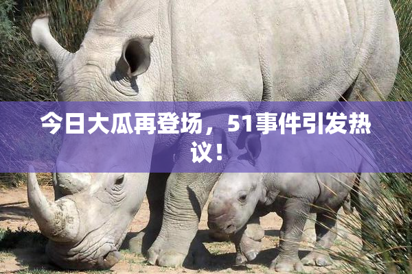 今日大瓜再登场，51事件引发热议！