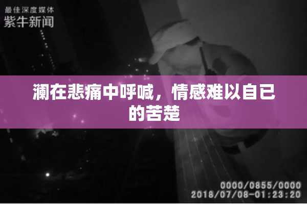 澜在悲痛中呼喊，情感难以自已的苦楚