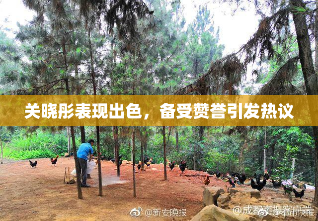 关晓彤表现出色，备受赞誉引发热议