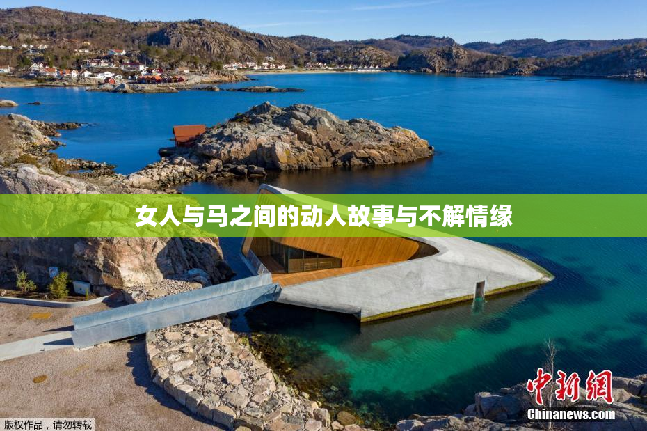 女人与马之间的动人故事与不解情缘