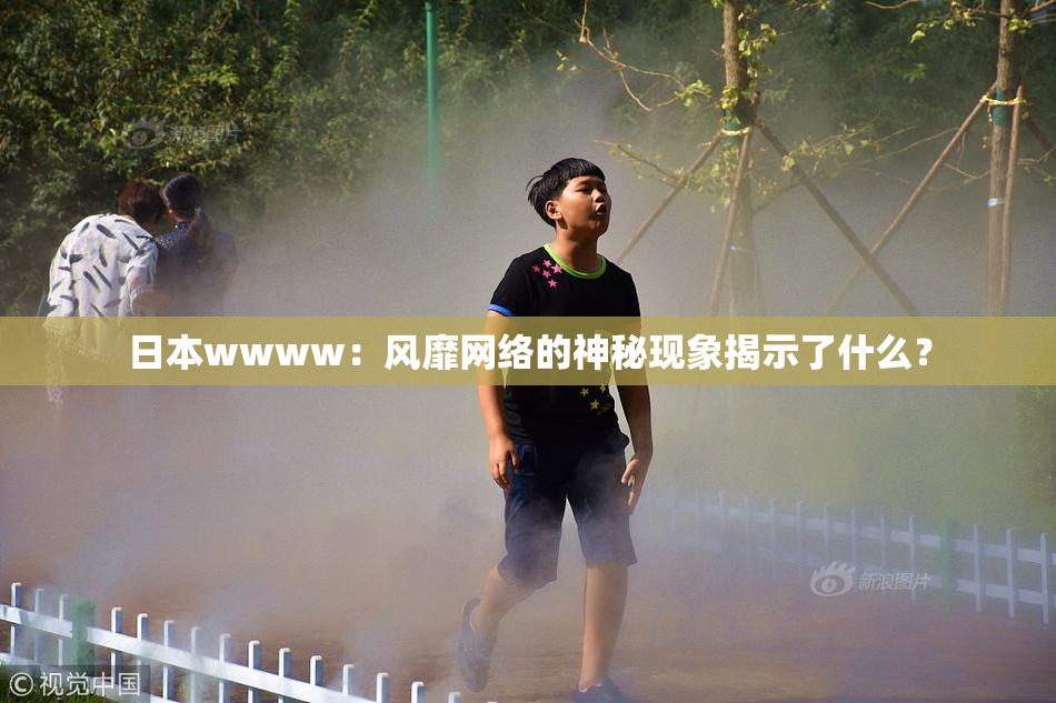 日本wwww：风靡网络的神秘现象揭示了什么？