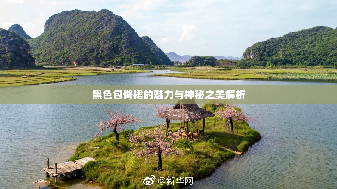 黑色包臀裙的魅力与神秘之美解析