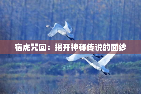 宿虎咒回：揭开神秘传说的面纱