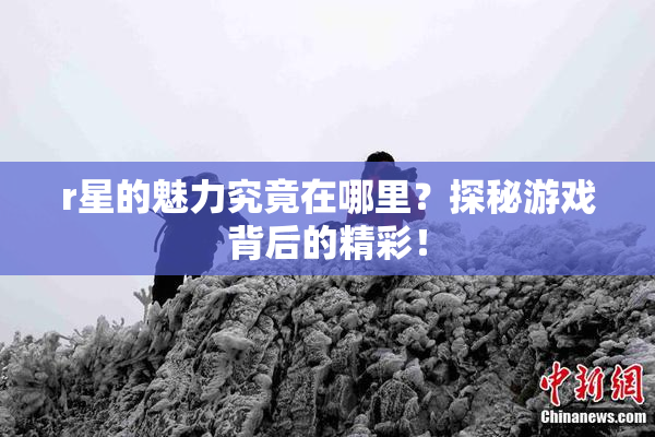 r星的魅力究竟在哪里？探秘游戏背后的精彩！