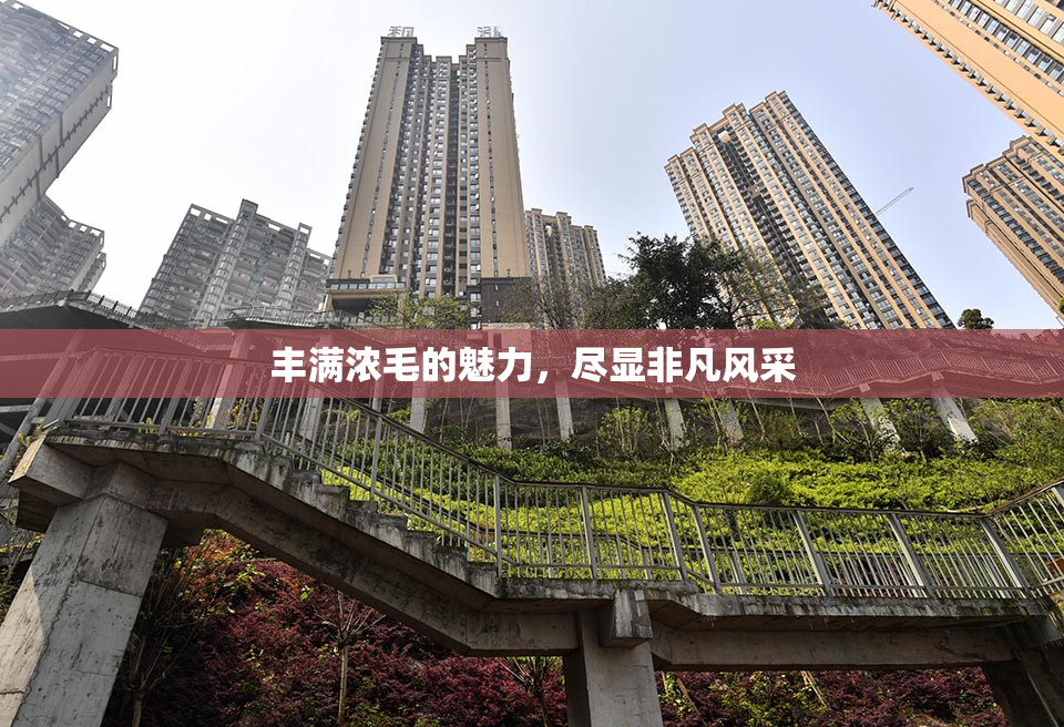 丰满浓毛的魅力，尽显非凡风采
