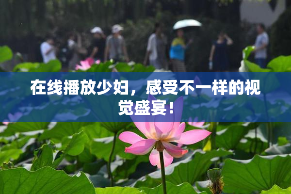 在线播放少妇，感受不一样的视觉盛宴！