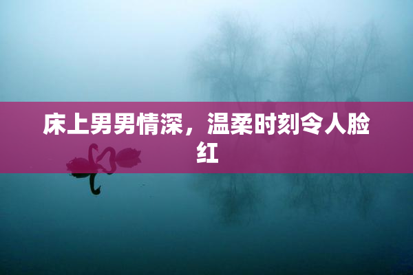 床上男男情深，温柔时刻令人脸红