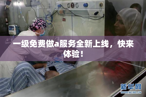 一级免费做a服务全新上线，快来体验！