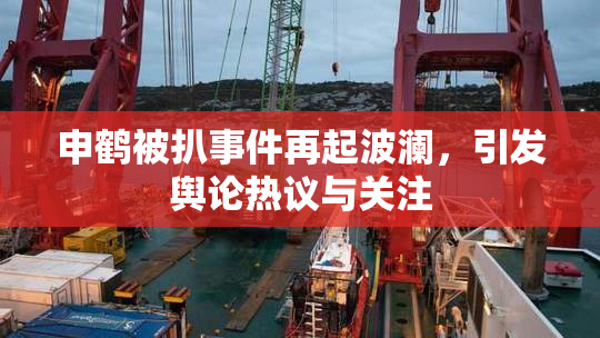 申鹤被扒事件再起波澜，引发舆论热议与关注