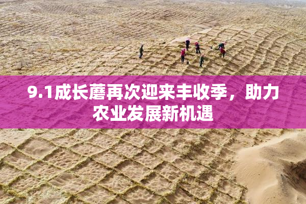 9.1成长蘑再次迎来丰收季，助力农业发展新机遇