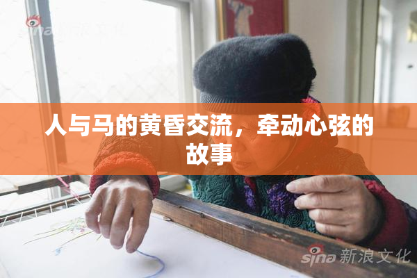 人与马的黄昏交流，牵动心弦的故事