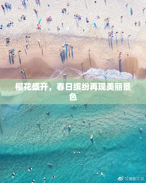 樱花盛开，春日缤纷再现美丽景色