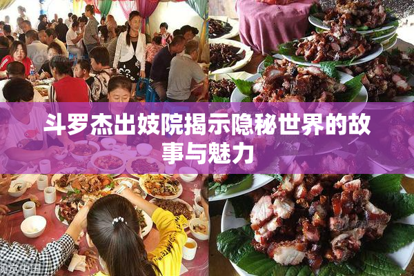 斗罗杰出妓院揭示隐秘世界的故事与魅力