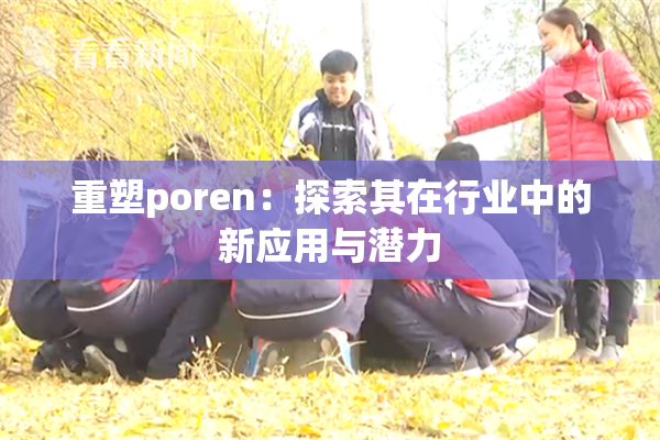重塑poren：探索其在行业中的新应用与潜力