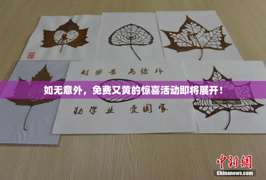如无意外，免费又黄的惊喜活动即将展开！