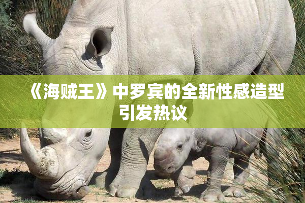《海贼王》中罗宾的全新性感造型引发热议