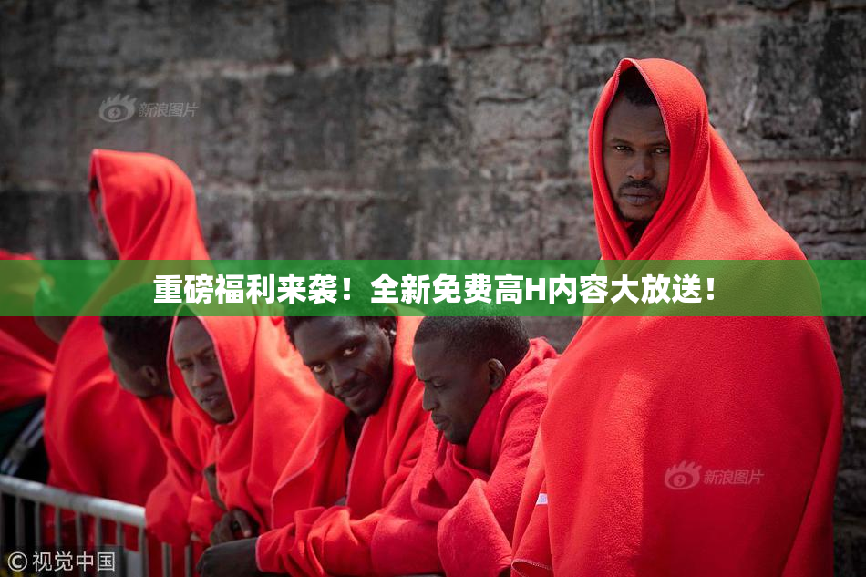 重磅福利来袭！全新免费高H内容大放送！