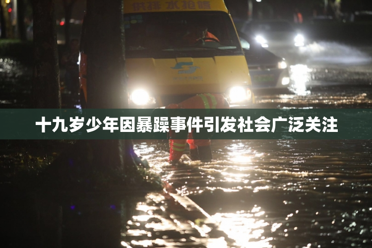 十九岁少年因暴躁事件引发社会广泛关注