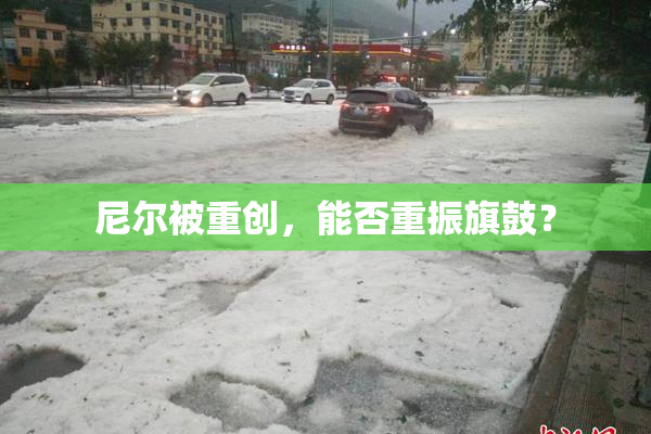 尼尔被重创，能否重振旗鼓？