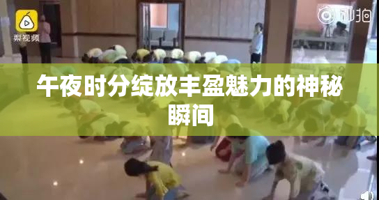 午夜时分绽放丰盈魅力的神秘瞬间