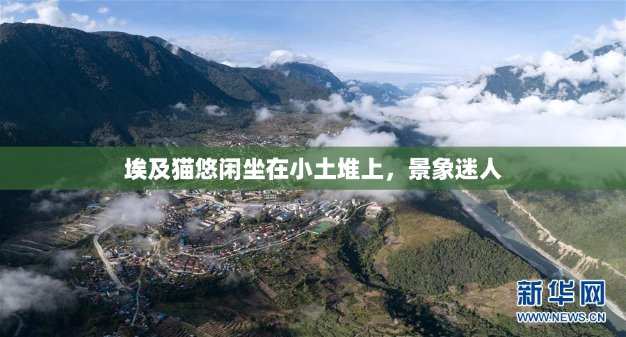 埃及猫悠闲坐在小土堆上，景象迷人