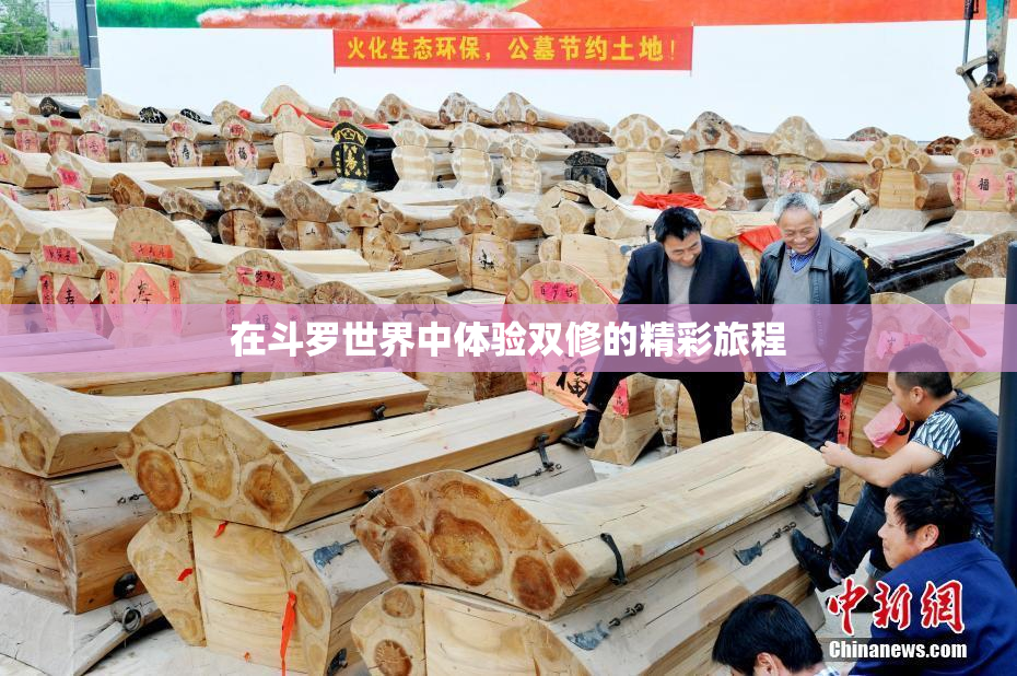 在斗罗世界中体验双修的精彩旅程