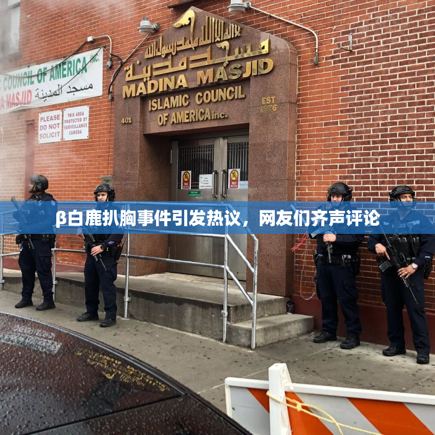 β白鹿扒胸事件引发热议，网友们齐声评论
