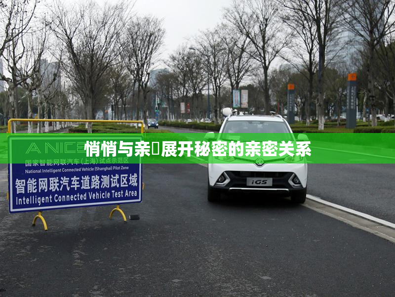 悄悄与亲妺展开秘密的亲密关系
