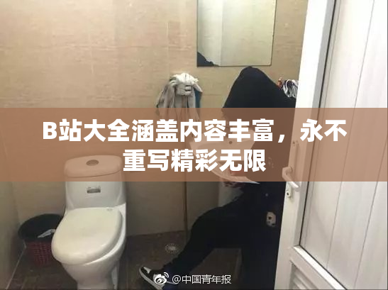 B站大全涵盖内容丰富，永不重写精彩无限