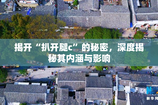 揭开“扒开腿c”的秘密，深度揭秘其内涵与影响