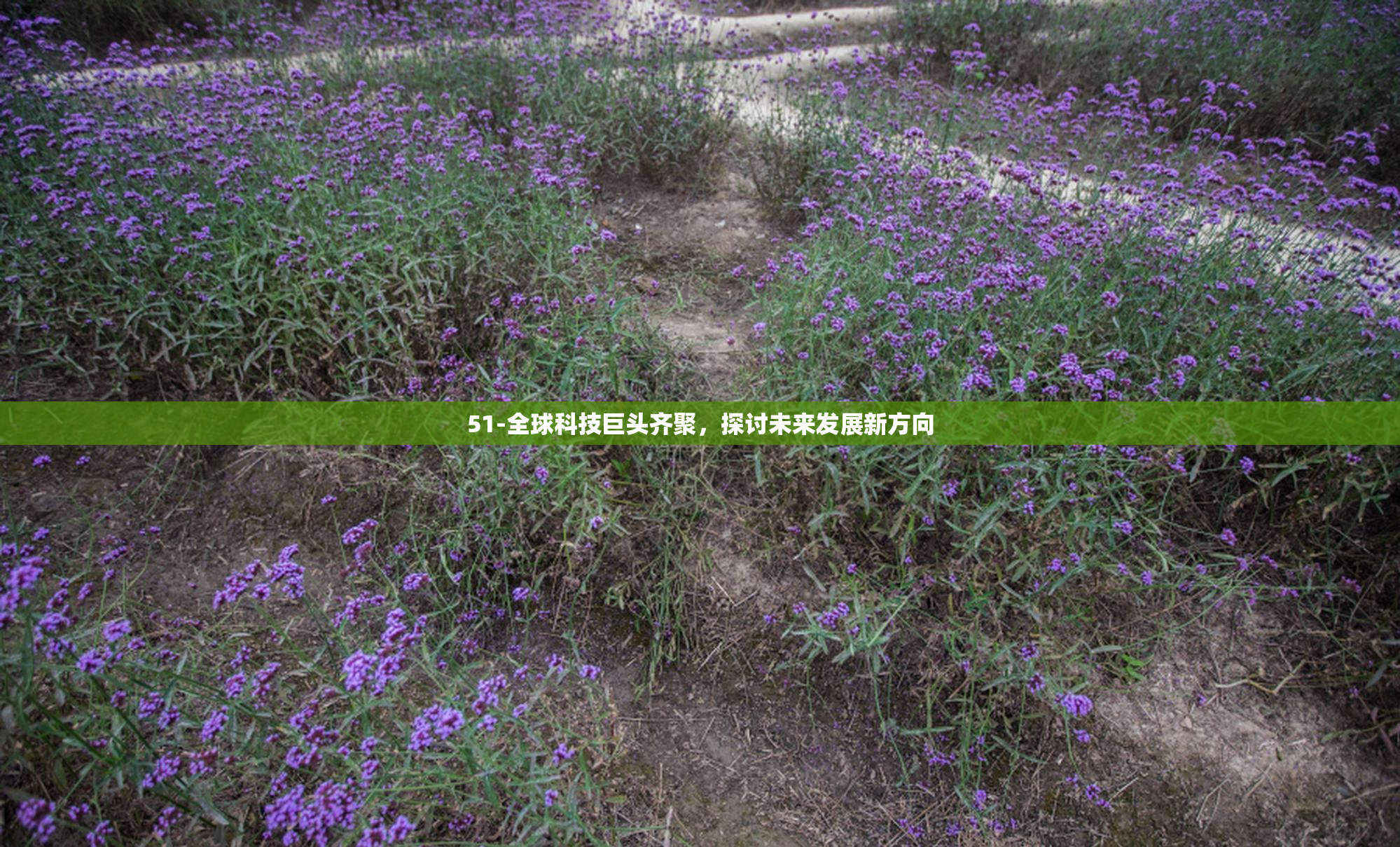 51-全球科技巨头齐聚，探讨未来发展新方向