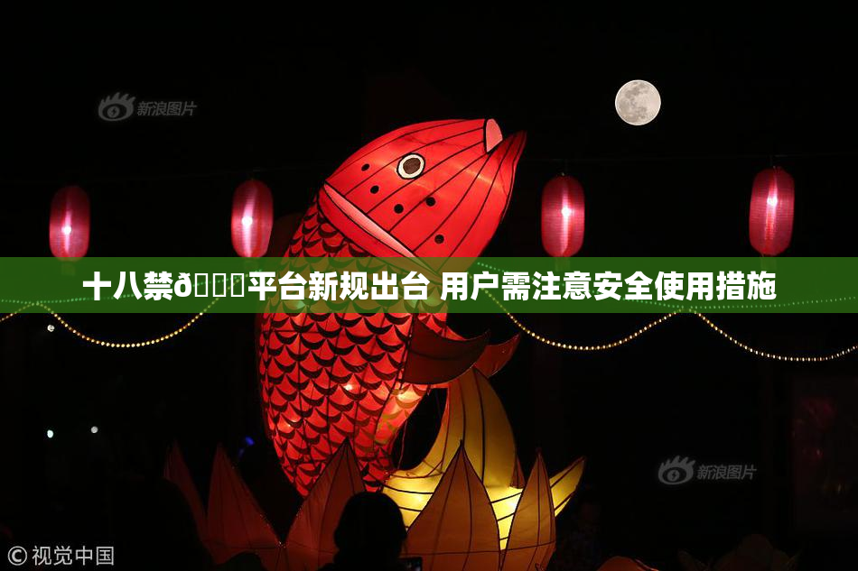 十八禁🔞平台新规出台 用户需注意安全使用措施