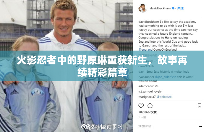 火影忍者中的野原琳重获新生，故事再续精彩篇章